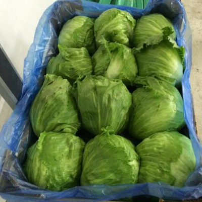 اكياس مضادات الصدمات واكياس الليزر للكابوتشي