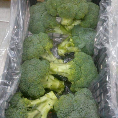 كيس البروكلي المعالج جوده عاليه